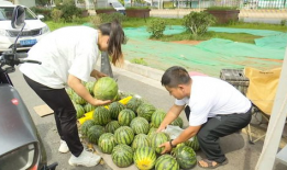 黑料社区吃瓜爆料入口,吃瓜爆料入口大揭秘！